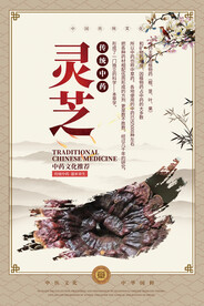 灵芝中药海报