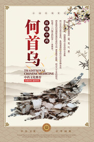何首乌中药海报