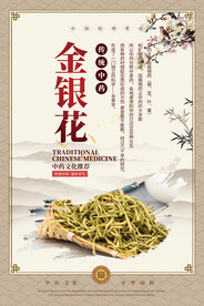 金银花中药海报