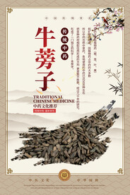 牛蒡子中药海报