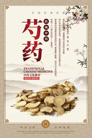 芍药中药海报