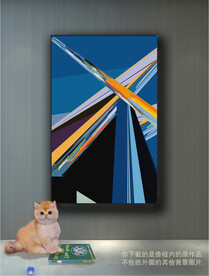 南美轻奢抽象装饰画