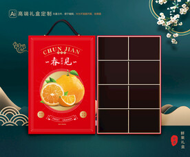 耙耙柑包装 水果礼盒