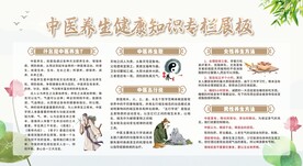 中医养生展板