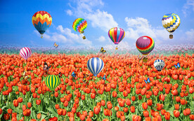 浪漫热气球郁金香花海电视背景墙