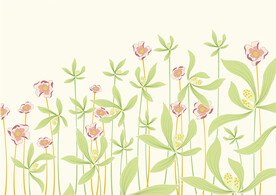 矢量装饰花卉图案