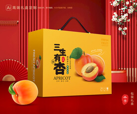 杏礼盒 黄杏包装