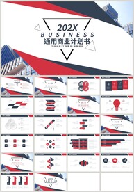 红蓝色通用商业计划书PPT