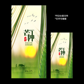 二十四节气芒种