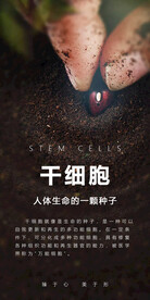 干细胞