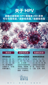 HPV科普