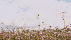 花草 油画 简约