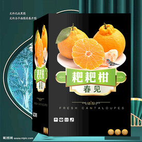 黑色耙耙柑包装