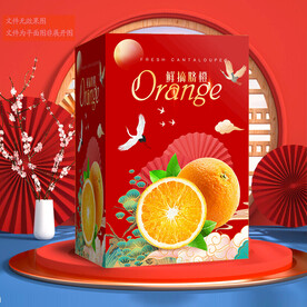 橙子包装 礼盒