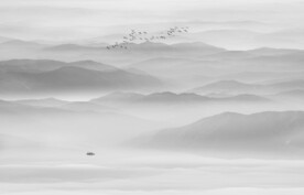 新中式水墨画背景墙