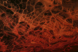 暗红色流体渐变科技线条背景