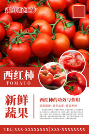 西红柿