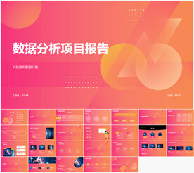 数据分析项目报告PPT