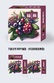 杨梅包装