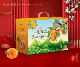 杏包装 黄杏礼盒