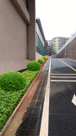 厂区绿化改造效果图