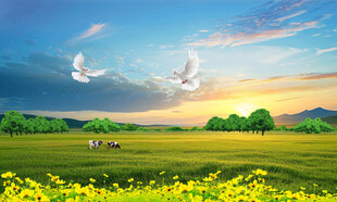 蓝天白云草地背景墙