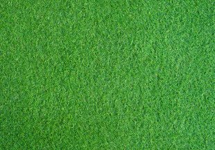 高清草皮围挡图案