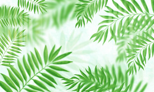 植物玻璃背景墙