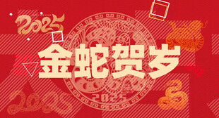 快闪新年片头视频