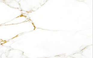 爵士白鱼肚金大理石