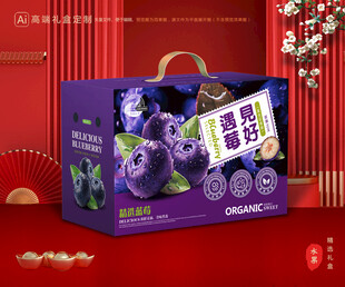 蓝莓包装 水果礼盒