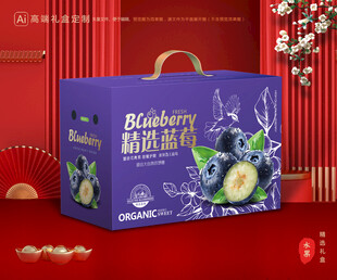 蓝莓包装 水果礼盒