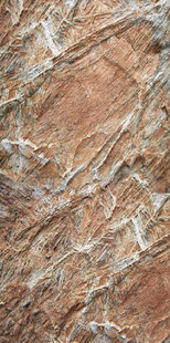 纹理独特的棕色岩石