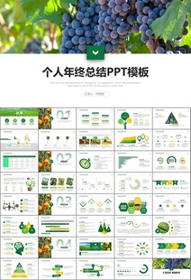 绿色农业产业总结计划ppt模板