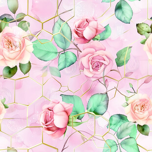 粉色玫瑰几何水彩花卉图