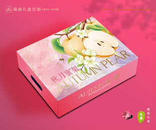 秋月梨礼盒 梨包装