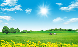 蓝天白云大草原