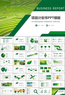 水稻农田农业种植大米PPT模板