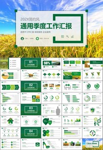 水稻农田农业种植大米PPT模板