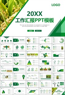 水稻农田农业种植大米PPT模板