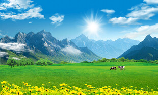 蓝天白云大草原