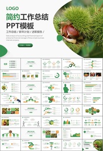 营养美食美味板栗种植宣传PPT