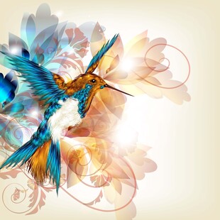 梦幻色彩蜂鸟与花纹图案