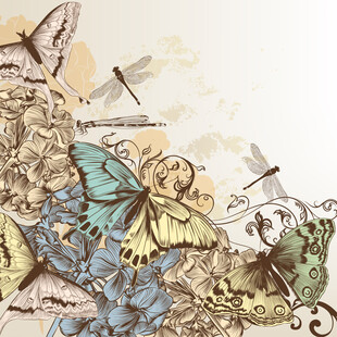 梦幻蝴蝶蜻蜓花卉插画
