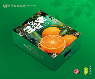 沃柑包装 蜜桔礼盒