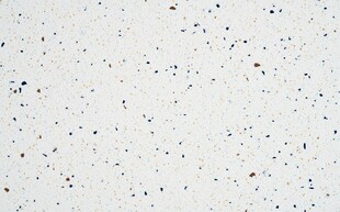 白色碎石水磨石大理石