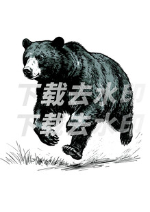 矢量手绘线描黑熊图