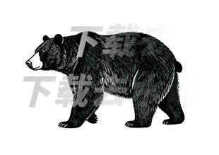 矢量手绘线描黑熊图