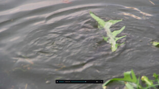 多媒体短视频素材区