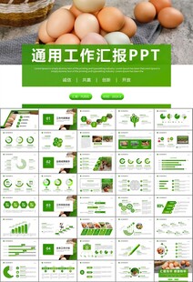 绿色生态农家鸡舍家禽养殖PPT